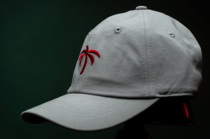 Space Grey/ Red